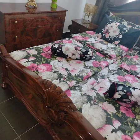 Apartment Destination Bulgaria 2000 Etara 1 Private Summer Family *